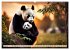 Cozy giant panda (High Quality Premium... - Bild 11