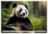 Cozy giant panda (High Quality Premium... - Bild 6