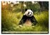 Cozy giant panda (High Quality Premium... - Bild 10
