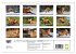 LE PETIT ROUQUIN (Calendrier mural 2026... - Bild 6