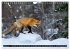 LE PETIT ROUQUIN (Calendrier mural 2026... - Bild 7
