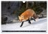LE PETIT ROUQUIN (Calendrier mural 2026... - Bild 9