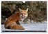 LE PETIT ROUQUIN (Calendrier mural 2026... - Bild 10