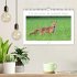 Un an avec le renard roux (Calendrier... - Bild 2