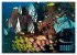Oceans Alive - A World of Color and... - Bild 8