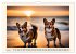 Welsh Corgi Pembroke (Wall Calendar... - Bild 13