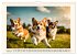 Welsh Corgi Pembroke (Wall Calendar... - Bild 14