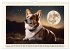 Welsh Corgi Pembroke (Wall Calendar... - Bild 15