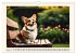 Welsh Corgi Pembroke (Wall Calendar... - Bild 9