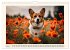 Welsh Corgi Pembroke (Wall Calendar... - Bild 10