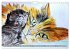 Beautiful cat portraits (Wall Calendar... - Bild 13