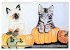Beautiful cat portraits (Wall Calendar... - Bild 3