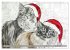 Beautiful cat portraits (Wall Calendar... - Bild 5