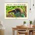 Toucans - clowns of the jungle (Wall... - Bild 2