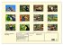 Toucans - clowns of the jungle (Wall... - Bild 6