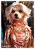 Stylish Dogs (Wall Calendar 2026 DIN A4... - Bild 14