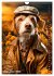 Stylish Dogs (Wall Calendar 2026 DIN A4... - Bild 15