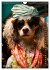 Stylish Dogs (Wall Calendar 2026 DIN A4... - Bild 3