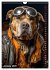 Stylish Dogs (Wall Calendar 2026 DIN A4... - Bild 7
