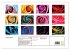 Roses peintes (Calendrier mural 2026... - Bild 5