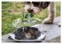 French Truffle Wonders (Wall Calendar... - Bild 11