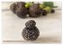 French Truffle Wonders (Wall Calendar... - Bild 12