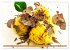 French Truffle Wonders (Wall Calendar... - Bild 15