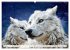 Wildlife of the Tundra (Wall Calendar... - Bild 12