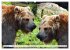 Wildlife of the Tundra (Wall Calendar... - Bild 14