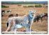 Wildlife of the Tundra (Wall Calendar... - Bild 15