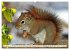 Wildlife of the Tundra (Wall Calendar... - Bild 4