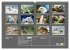 Wildlife of the Tundra (Wall Calendar... - Bild 6