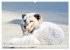 Wildlife of the Tundra (Wall Calendar... - Bild 7