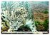 Wildlife of the Tundra (Wall Calendar... - Bild 8