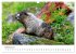 Icefields Parkway in Canada (Wall... - Bild 8