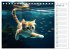 Les chats sous l'eau (Calendrier de... - Bild 3