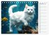 Les chats sous l'eau (Calendrier de... - Bild 5