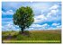 Solitude verdoyante (Calendrier mural... - Bild 11