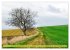 Solitude verdoyante (Calendrier mural... - Bild 15