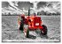 Tractors from past times (Wall Calendar... - Bild 13
