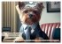 Great fun for Yorkshire Terrier lovers... - Bild 11