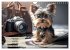 Great fun for Yorkshire Terrier lovers... - Bild 14