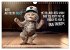 WITTY CATS Cool sayings (Wall Calendar... - Bild 15