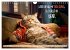 WITTY CATS Cool sayings (Wall Calendar... - Bild 3