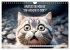WITTY CATS Cool sayings (Wall Calendar... - Bild 8
