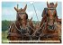 Four-in-hand Driving Challenge (Wall... - Bild 13