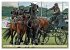 Four-in-hand Driving Challenge (Wall... - Bild 3
