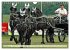 Four-in-hand Driving Challenge (Wall... - Bild 5