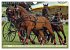 Four-in-hand Driving Challenge (Wall... - Bild 10