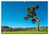 Solitude verdoyante (Calendrier mural... - Bild 8